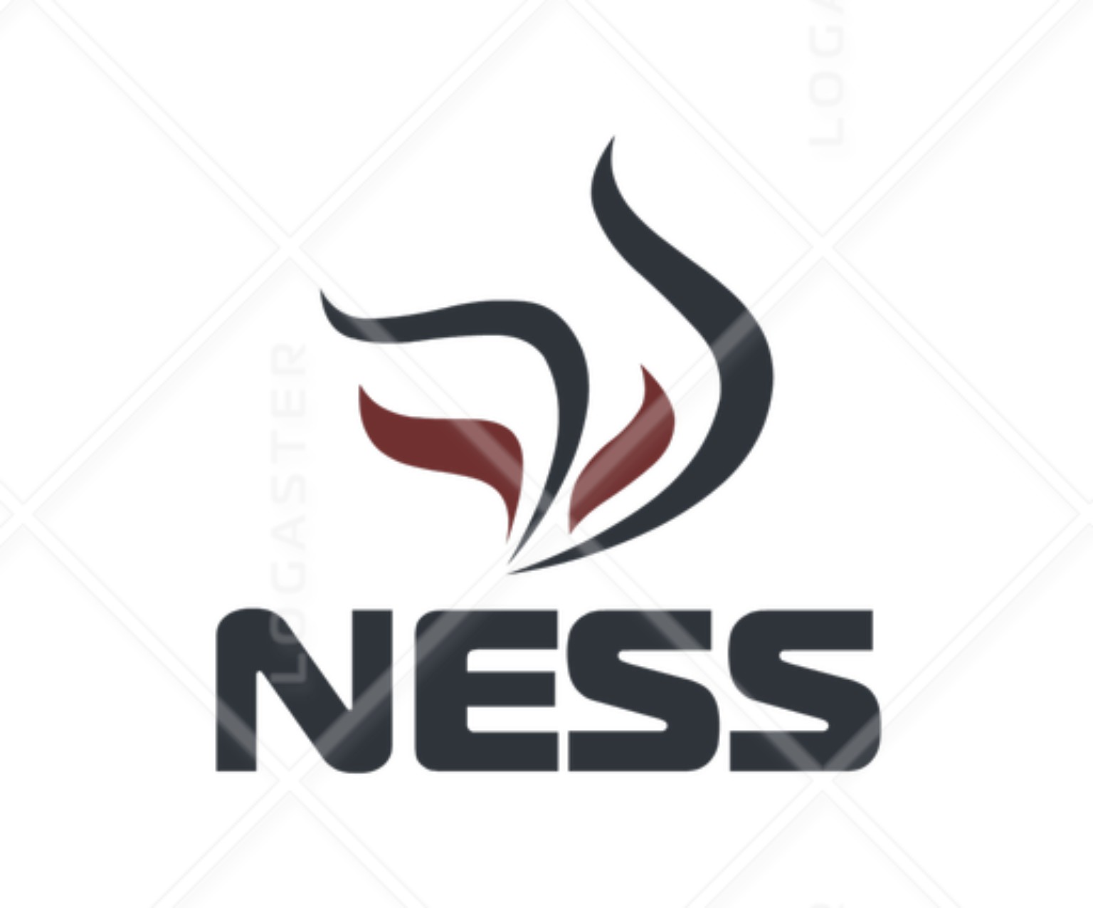 NESS